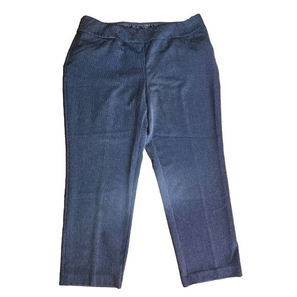 INVESTMENTS II Blue White Pull On Pants with Zip Pockets Womens Plus Size 20WS - Picture 1 of 5